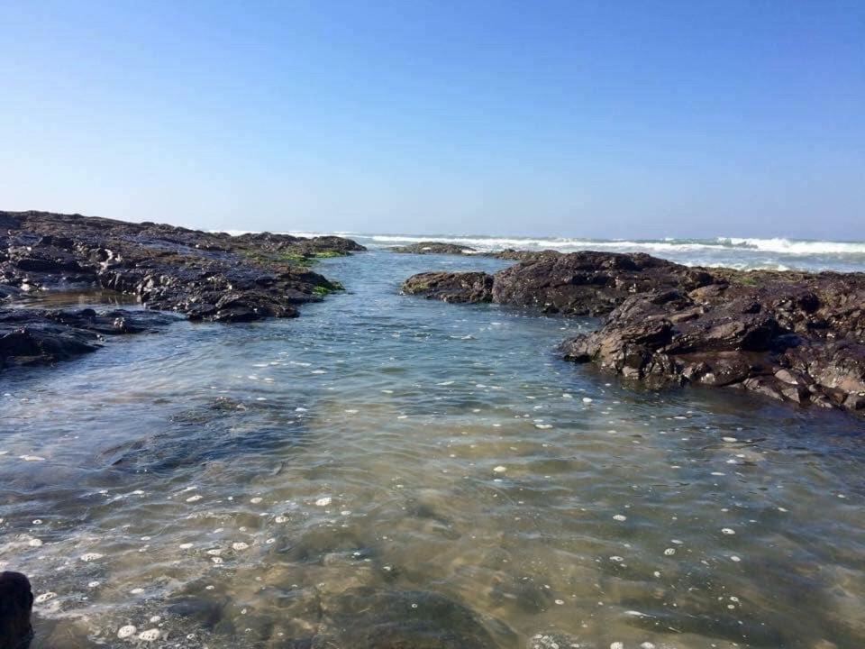 Bangalo Em Frente A Reserva Ecologica E 300m Do Mar Holiday home